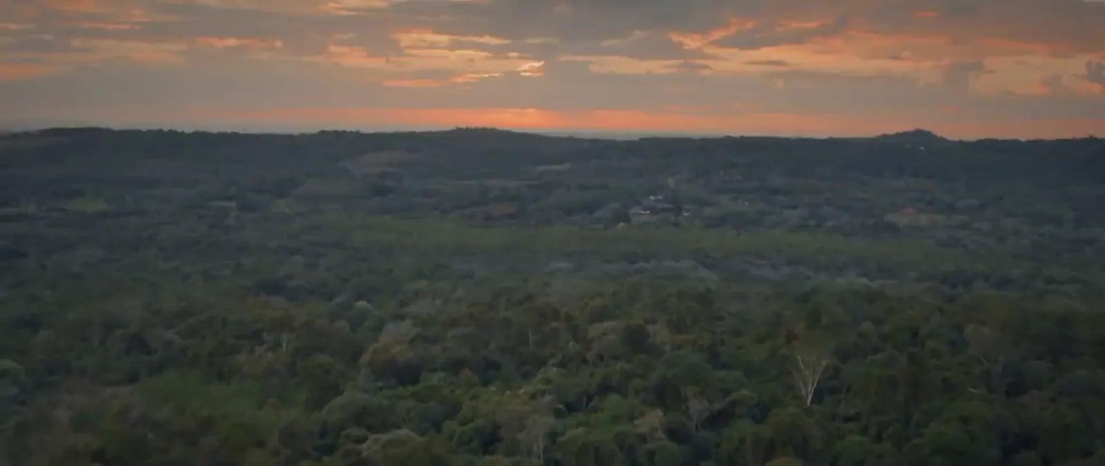Wald in Paraguay im Abendlicht, aus der Luft